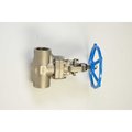 Chicago Valves And Controls 3/8", Stainless Steel Class 800 Globe Valve, FNPT 386TE004